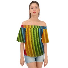  Colorful Illustrations Off Shoulder Short Sleeve Top