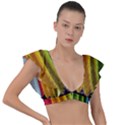  colorful illustrations Plunge Frill Sleeve Bikini Top View1