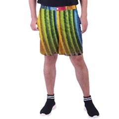  Colorful Illustrations Men s Pocket Shorts by artworkshop