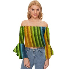  Colorful Illustrations Off Shoulder Flutter Bell Sleeve Top by artworkshop