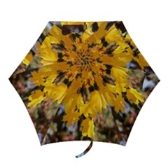 Amazing Arrowtown Autumn Leaves Mini Folding Umbrellas by artworkshop