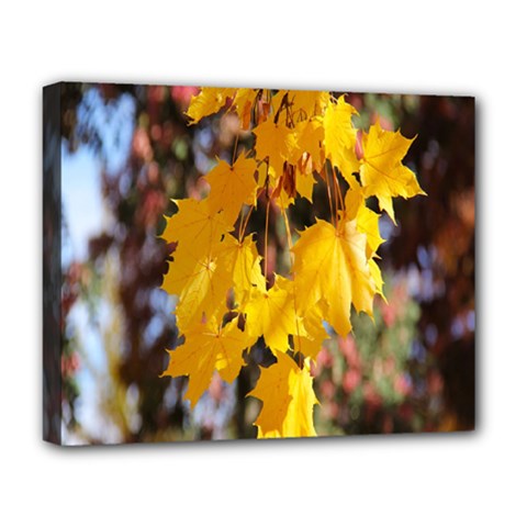 Amazing Arrowtown Autumn Leaves Deluxe Canvas 20  X 16  (stretched) by artworkshop