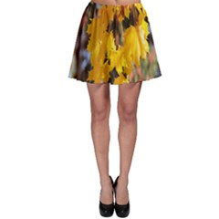 Amazing Arrowtown Autumn Leaves Skater Skirt by artworkshop