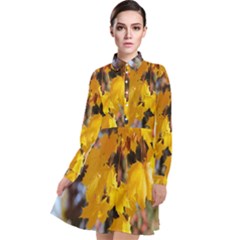 Amazing Arrowtown Autumn Leaves Long Sleeve Chiffon Shirt Dress by artworkshop