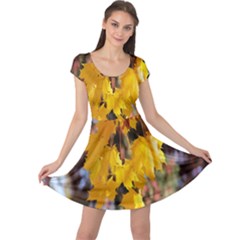 Amazing Arrowtown Autumn Leaves Cap Sleeve Dress by artworkshop