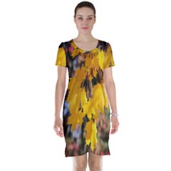 Amazing Arrowtown Autumn Leaves Short Sleeve Nightdress by artworkshop