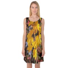 Amazing Arrowtown Autumn Leaves Sleeveless Satin Nightdress by artworkshop