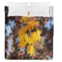 Amazing Arrowtown Autumn Leaves Duvet Cover Double Side (queen Size) by artworkshop