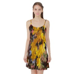 Amazing Arrowtown Autumn Leaves Satin Night Slip by artworkshop