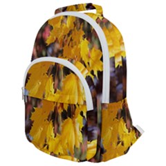 Amazing Arrowtown Autumn Leaves Rounded Multi Pocket Backpack by artworkshop