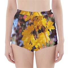 Amazing Arrowtown Autumn Leaves High-waisted Bikini Bottoms by artworkshop