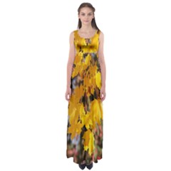 Amazing Arrowtown Autumn Leaves Empire Waist Maxi Dress by artworkshop