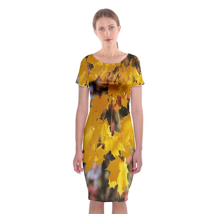 Amazing Arrowtown Autumn Leaves Classic Short Sleeve Midi Dress