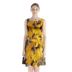 Amazing Arrowtown Autumn Leaves Sleeveless Waist Tie Chiffon Dress by artworkshop