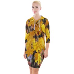 Amazing Arrowtown Autumn Leaves Quarter Sleeve Hood Bodycon Dress by artworkshop