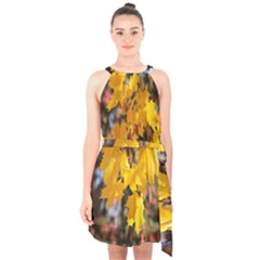 Amazing Arrowtown Autumn Leaves Halter Collar Waist Tie Chiffon Dress by artworkshop