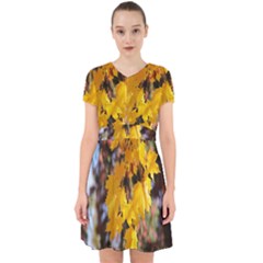 Amazing Arrowtown Autumn Leaves Adorable In Chiffon Dress by artworkshop