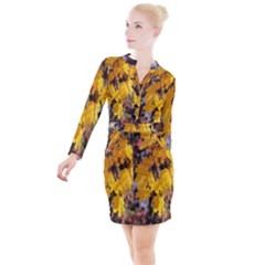 Amazing Arrowtown Autumn Leaves Button Long Sleeve Dress by artworkshop