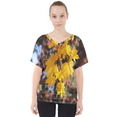 Amazing Arrowtown Autumn Leaves V-neck Dolman Drape Top by artworkshop