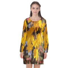 Amazing Arrowtown Autumn Leaves Long Sleeve Chiffon Shift Dress  by artworkshop