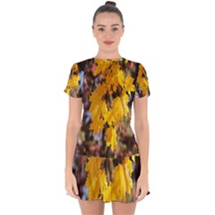 Amazing Arrowtown Autumn Leaves Drop Hem Mini Chiffon Dress by artworkshop