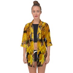 Amazing Arrowtown Autumn Leaves Open Front Chiffon Kimono by artworkshop