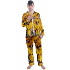 Amazing Arrowtown Autumn Leaves Men s Long Sleeve Satin Pajamas Set by artworkshop