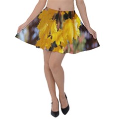 Amazing Arrowtown Autumn Leaves Velvet Skater Skirt by artworkshop