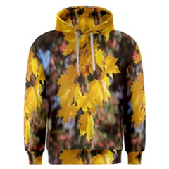 Amazing Arrowtown Autumn Leaves Men s Overhead Hoodie by artworkshop