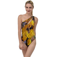 Amazing Arrowtown Autumn Leaves To One Side Swimsuit by artworkshop