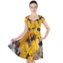 Amazing Arrowtown Autumn Leaves Cap Sleeve Midi Dress View1