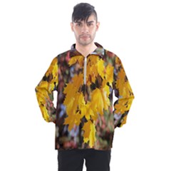 Amazing Arrowtown Autumn Leaves Men s Half Zip Pullover by artworkshop