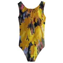 Amazing Arrowtown Autumn Leaves Kids  Cut-out Back One Piece Swimsuit by artworkshop