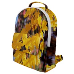 Amazing Arrowtown Autumn Leaves Flap Pocket Backpack (small) by artworkshop