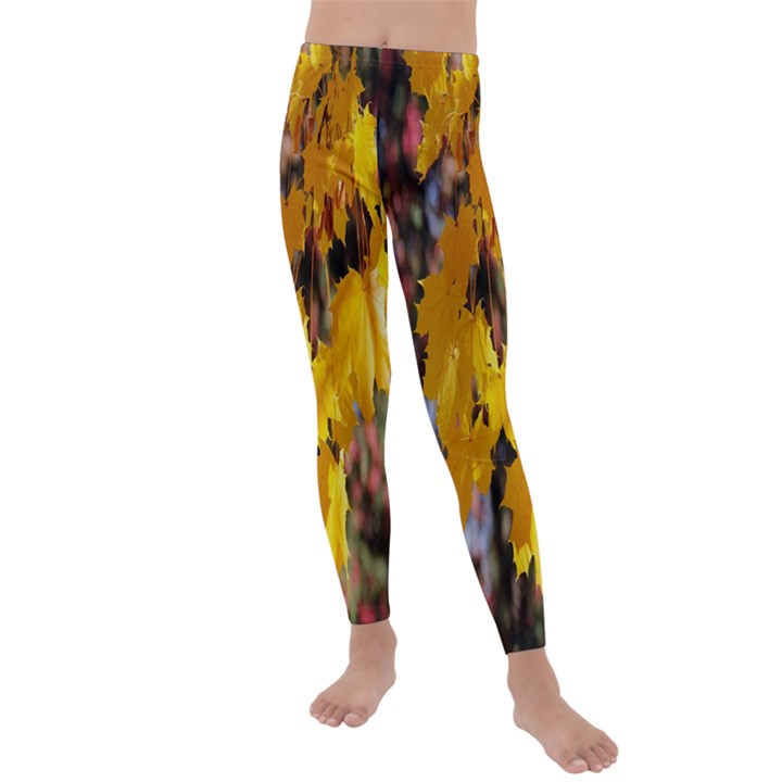 Amazing Arrowtown Autumn Leaves Kids  Lightweight Velour Leggings