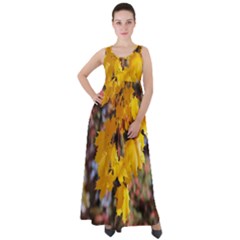 Amazing Arrowtown Autumn Leaves Empire Waist Velour Maxi Dress by artworkshop