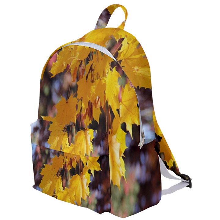 Amazing Arrowtown Autumn Leaves The Plain Backpack