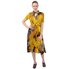 Amazing Arrowtown Autumn Leaves Keyhole Neckline Chiffon Dress by artworkshop