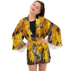 Amazing Arrowtown Autumn Leaves Long Sleeve Kimono by artworkshop