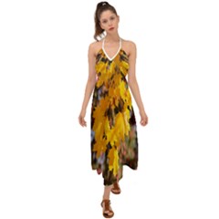 Amazing Arrowtown Autumn Leaves Halter Tie Back Dress  by artworkshop