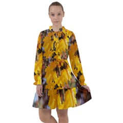 Amazing Arrowtown Autumn Leaves All Frills Chiffon Dress by artworkshop