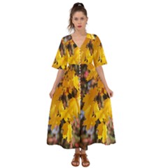 Amazing Arrowtown Autumn Leaves Kimono Sleeve Boho Dress by artworkshop