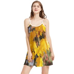 Amazing Arrowtown Autumn Leaves Summer Frill Dress by artworkshop