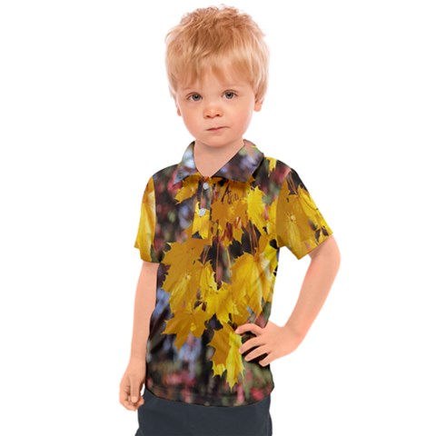 Amazing Arrowtown Autumn Leaves Kids  Polo Tee by artworkshop