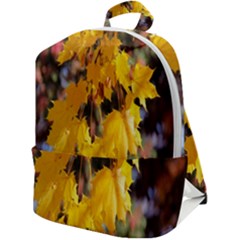 Amazing Arrowtown Autumn Leaves Zip Up Backpack by artworkshop