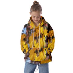 Amazing Arrowtown Autumn Leaves Kids  Oversized Hoodie by artworkshop