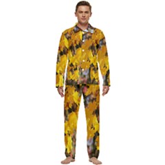 Amazing Arrowtown Autumn Leaves Men s Long Sleeve Velvet Pocket Pajamas Set by artworkshop