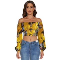 Amazing Arrowtown Autumn Leaves Long Sleeve Crinkled Weave Crop Top by artworkshop