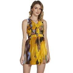 Amazing Arrowtown Autumn Leaves Sleeveless High Waist Mini Dress by artworkshop