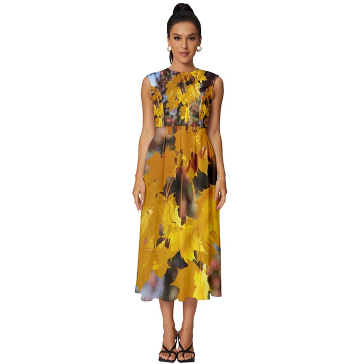 Amazing Arrowtown Autumn Leaves Sleeveless Round Neck Midi Dress